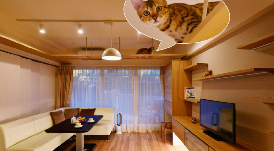猫と暮らす家